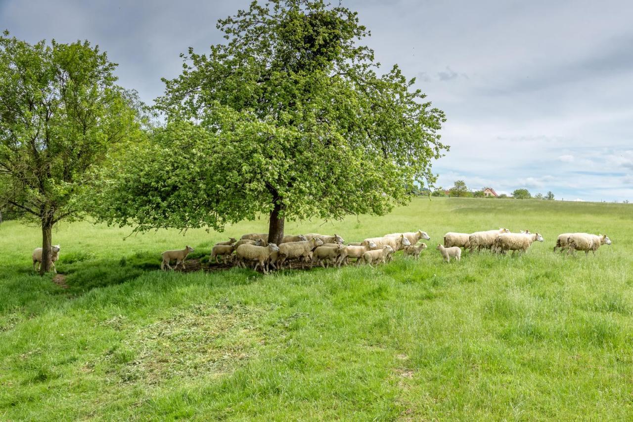 Agroturistika - "Domecek U Ovecek" Villa Horní Těrlicko Eksteriør billede