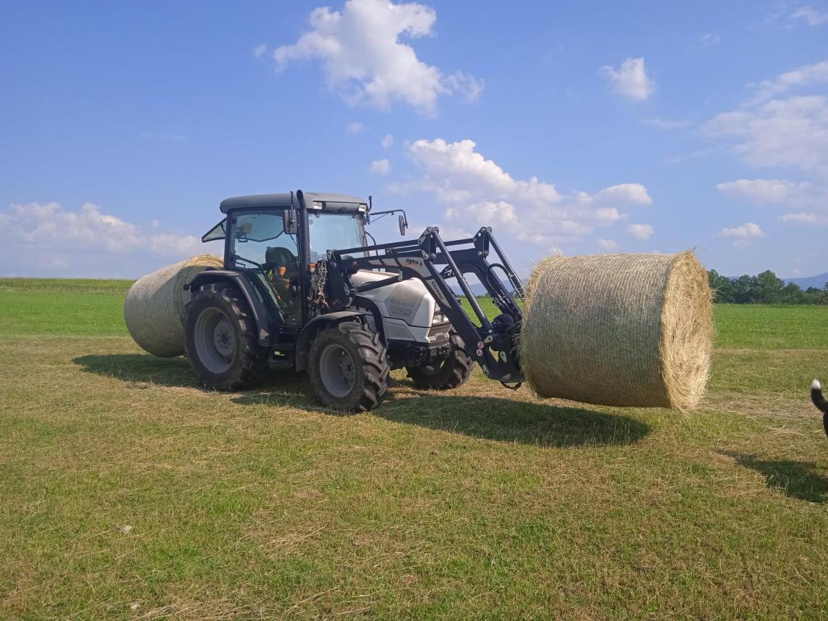 Agroturistika - "Domecek U Ovecek" Villa Horní Těrlicko Eksteriør billede